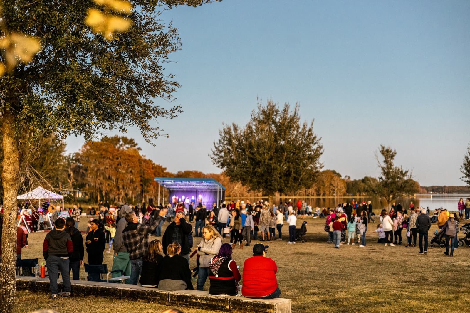 Event security team managing crowd safety